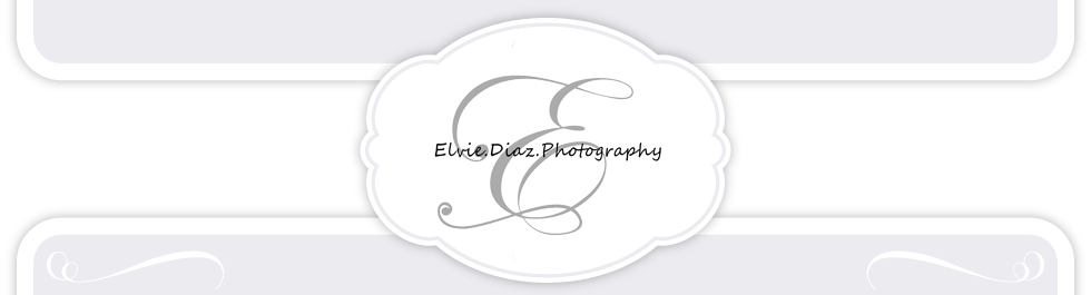 Elvie Diaz Photography – "Chicago's Exclusive Newborn Photographer" logo